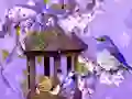 Logħba Wonderful Humming Bird Land Escape onlajn