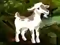 Logħba Searching Goat Child onlajn