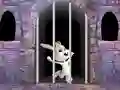 Logħba Victory Rabbit Escape onlajn
