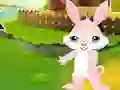Logħba Find The Buddy Rabbit onlajn