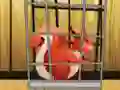 Logħba Rescue The Red Squirrel From Cage onlajn