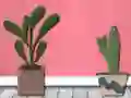 Logħba Find Houseplant onlajn