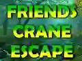 Logħba Friends Crane Escape onlajn