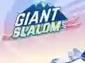 Logħba Giant Slalom onlajn