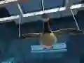 Logħba Goose Museum onlajn