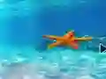 Logħba Escape From Underwater Starfish onlajn