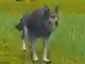 Logħba The Wolf: Wild Animal Simulator onlajn