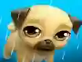 Logħba My Virtual Pet Louie the Pug onlajn