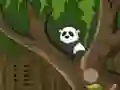 Logħba Panda Jungle Escape onlajn