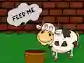 Logħba Find The Cow Feed onlajn