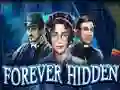 Logħba Forever Hidden onlajn