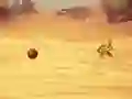 Logħba Monkey Shooting onlajn