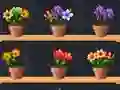 Logħba Good Flower Master onlajn