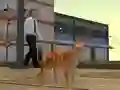 Logħba Cat City Simulator onlajn