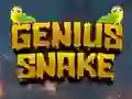 Logħba Genius Snake onlajn