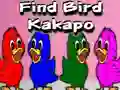 Logħba Find Bird Kakapo onlajn