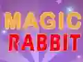 Logħba Magic Rabbit onlajn