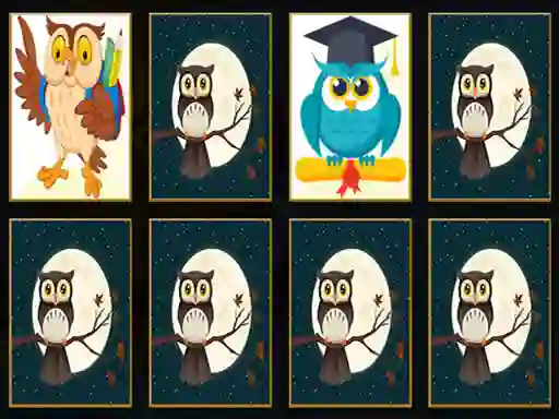 Logħba Cute Owl Memory onlajn