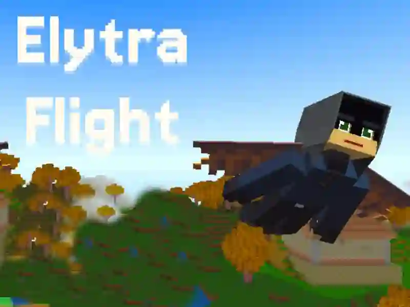 Logħba Elytra Flight onlajn