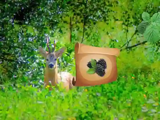 Logħba Return To Alsunga Forest onlajn