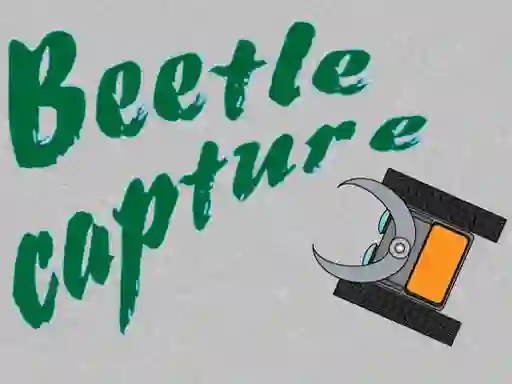 Logħba Beetle Capture onlajn