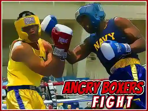 Logħba Angry Boxers Fight onlajn
