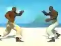Logħba Capoeira fighter onlajn