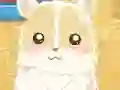 Logħba Hamster Love onlajn