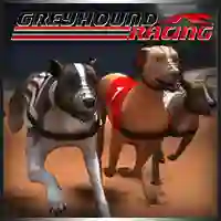 Logħba Greyhound Racing onlajn