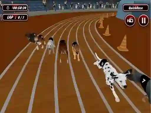 Logħba Crazyl Dog Racing Fever onlajn