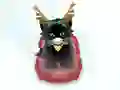 Logħba Pet Sledding onlajn