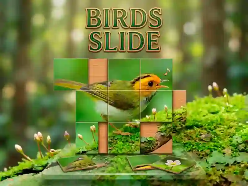 Logħba Birds Slide onlajn