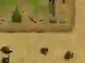 Logħba Ambush onlajn