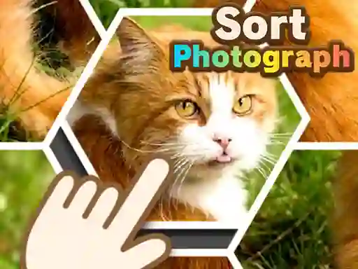 Logħba Sort Photograph onlajn