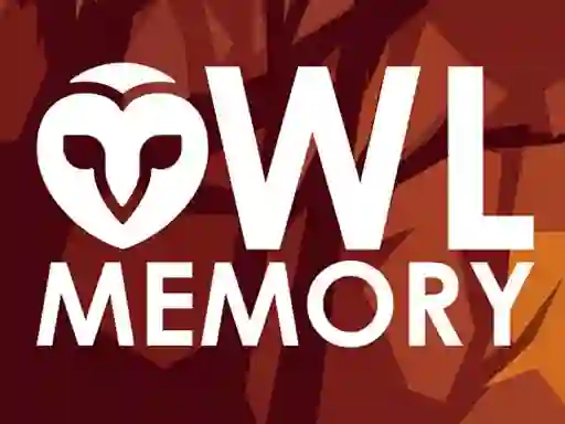 Logħba Owl Memory onlajn