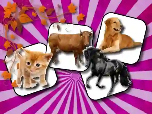 Logħba Domestic Animal Memory Challenge onlajn