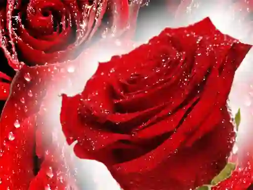 Logħba Red Roses onlajn