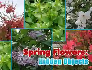 Logħba Spring Flowers: Hidden Objects onlajn
