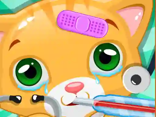 Logħba Little Cat Doctor onlajn