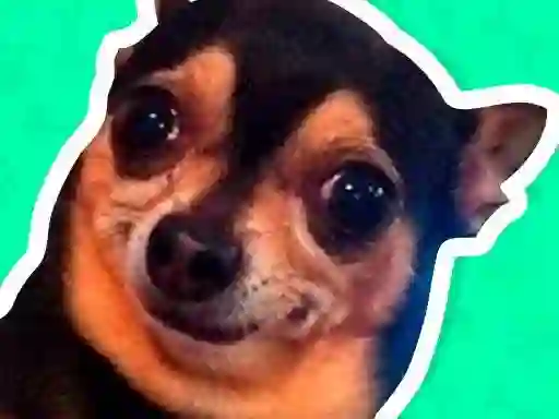 Logħba What meme dog are you ? onlajn