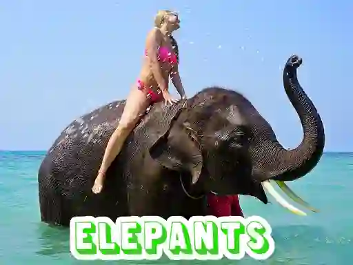 Logħba Elephants Puzzle onlajn