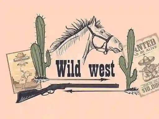 Logħba Wild Wild West Memory onlajn