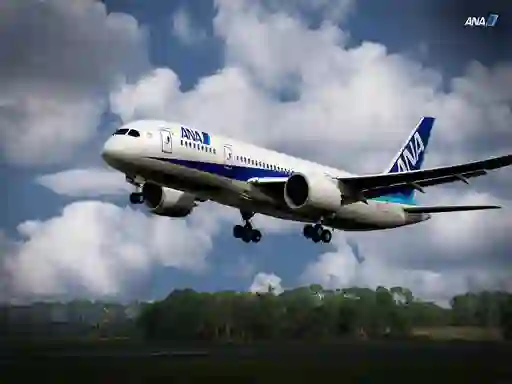 Logħba Boeing Dreamliner Puzzle onlajn