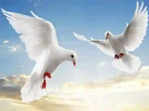 Logħba Flying Birds onlajn