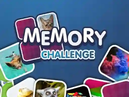 Logħba Memory Challenge onlajn