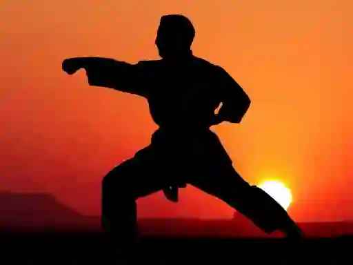 Logħba Karate Sunset Warriors onlajn