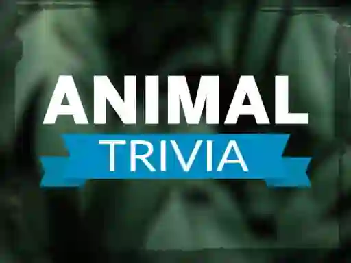 Logħba Animal Trivia onlajn