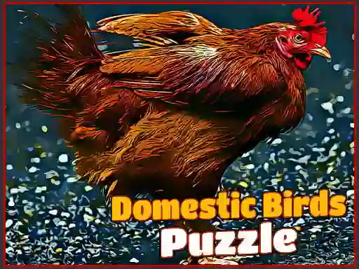 Logħba Domestic Birds Puzzle onlajn