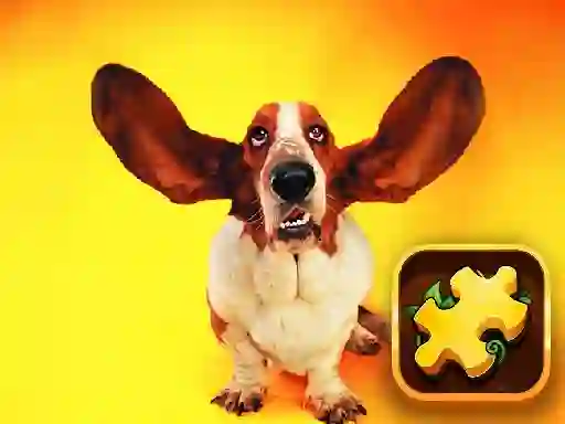 Logħba Funny Dogs Puzzle onlajn