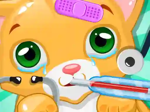 Logħba Kitty Doctor onlajn